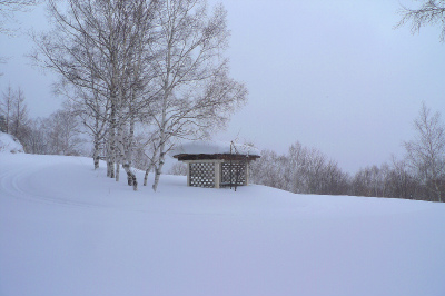 f0182173_18434031.jpg