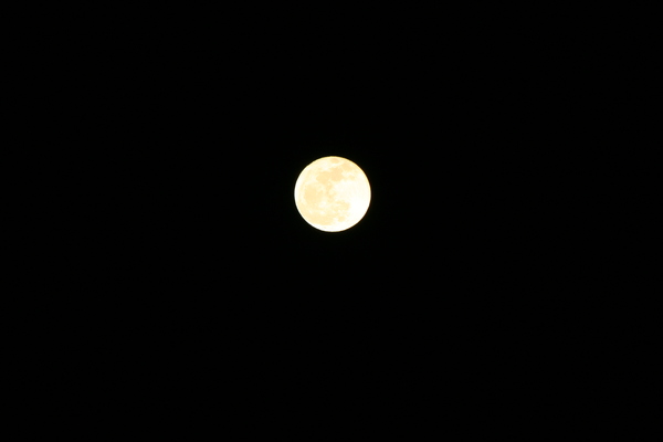 b0184974_722195.jpg
