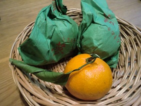 袋かけみかん 夢味 ナチュラルに花と緑と遊ぶ 袋かけみかん 夢味 ナチュラルに花と緑と遊ぶ