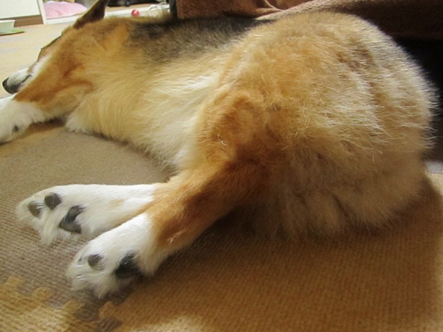 c0160878_21123966.jpg
