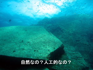 シミランクルーズ最高♪_f0144385_22452073.jpg