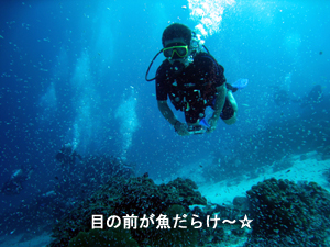 シミランクルーズ最高♪_f0144385_22455025.jpg
