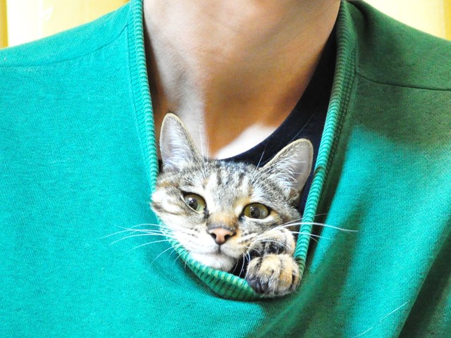 愛されるって辛いかも・・・_a0126590_1452486.jpg