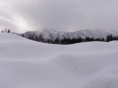 a0138198_1673911.jpg