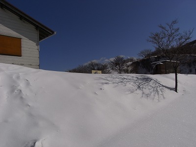 f0187402_17432829.jpg