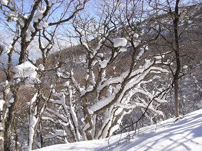 f0187402_17434524.jpg