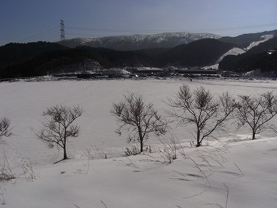 f0187402_17443956.jpg