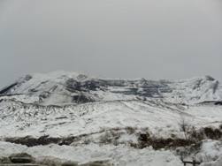 b0004907_212828.jpg