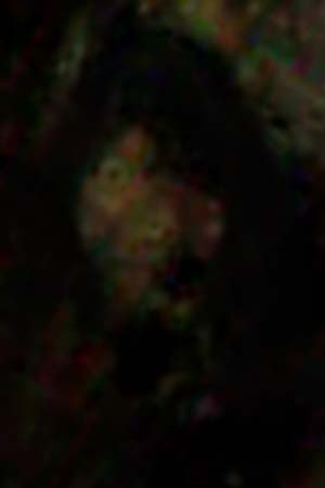e0103408_1954117.jpg