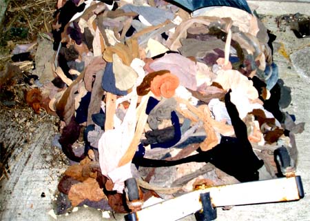 e0103408_19552716.jpg