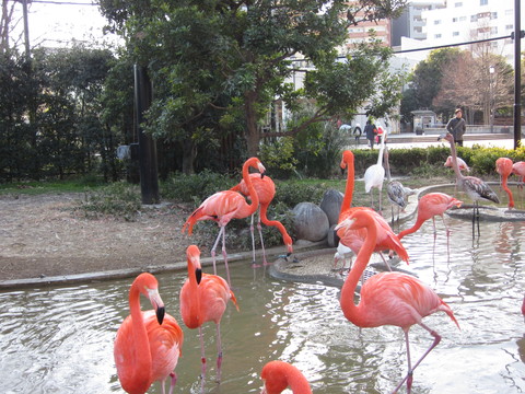 f0225108_1212794.jpg