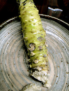 日本での食_d0062721_812084.jpg