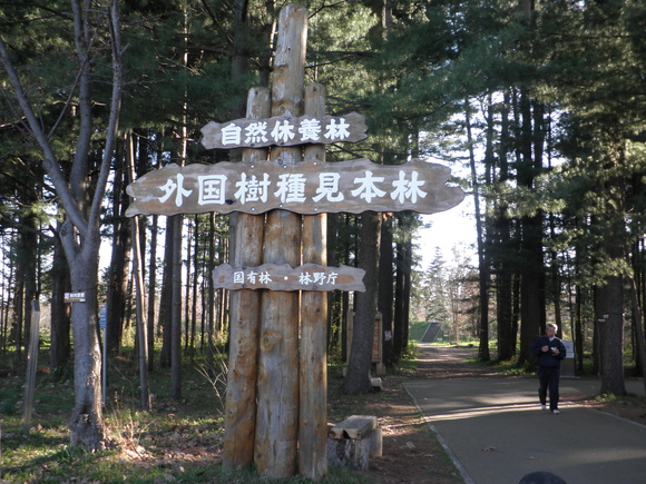 e0127622_22173660.jpg