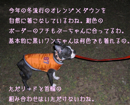 a0190132_19565510.jpg