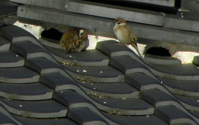 f0206939_19129.jpg