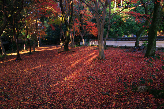 晩秋・興聖寺_f0155048_22453982.jpg