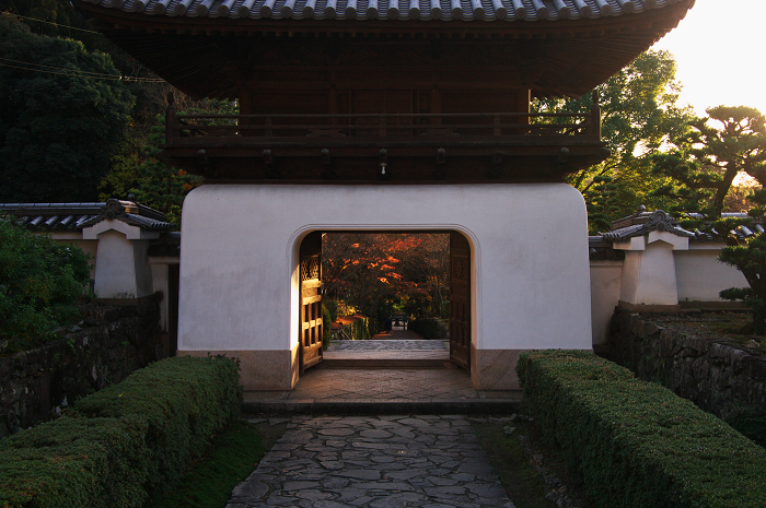 晩秋・興聖寺_f0155048_2245768.jpg