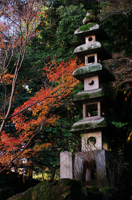 晩秋・興聖寺_f0155048_22464533.jpg
