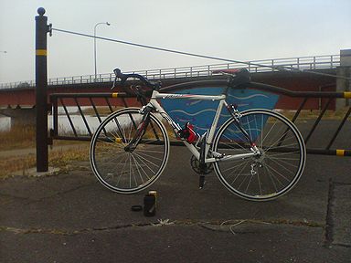 a0096557_13183799.jpg