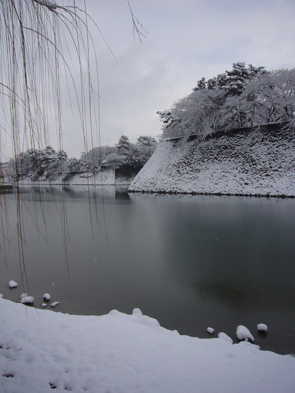 降雪、積雪_b0036363_85026.jpg