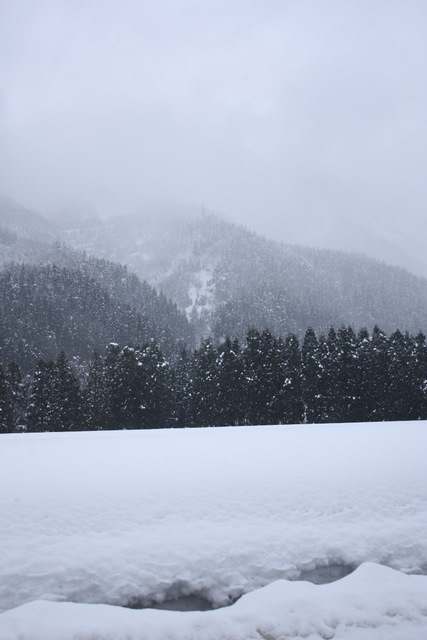 c0183164_2225836.jpg