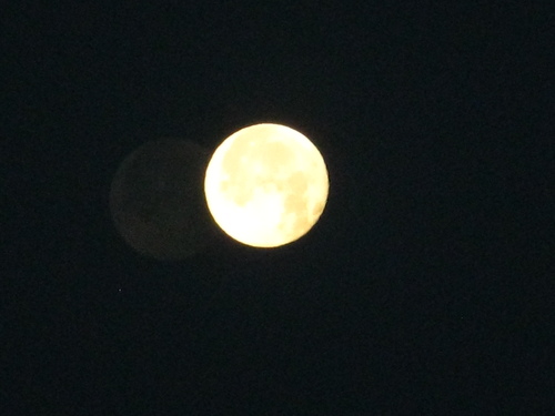 b0146166_10264757.jpg