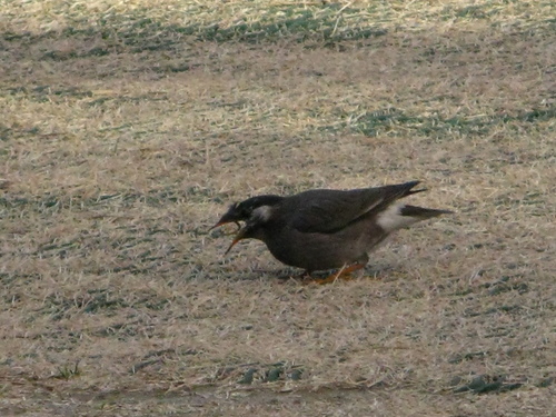 b0146166_10304594.jpg
