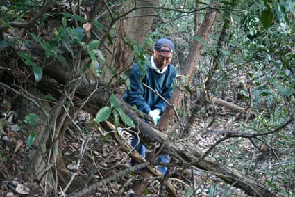 1/22六国見山森林公園の手入れの様子（撮影：島村国治）_c0014967_23202719.jpg