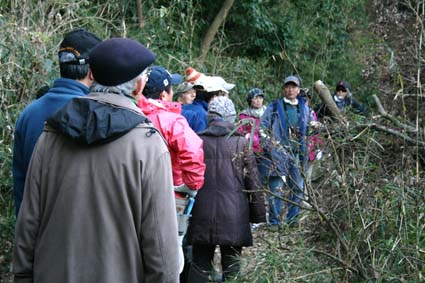 1/22六国見山森林公園の手入れの様子（撮影：島村国治）_c0014967_23211233.jpg
