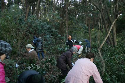 1/22六国見山森林公園の手入れの様子（撮影：島村国治）_c0014967_2322144.jpg