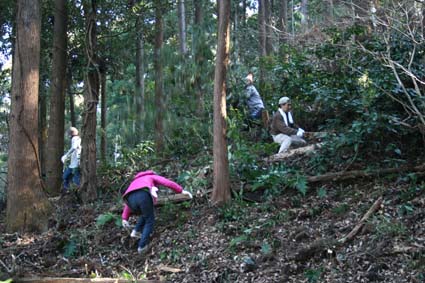 1/22六国見山森林公園の手入れの様子（撮影：島村国治）_c0014967_23223472.jpg