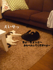 f0238772_18485357.jpg