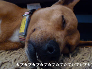 f0238772_21333149.jpg