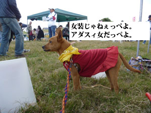 f0238772_21333941.jpg