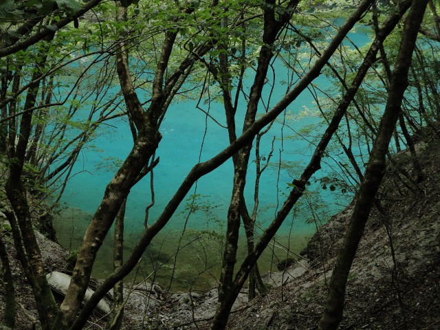 f0238475_14052.jpg