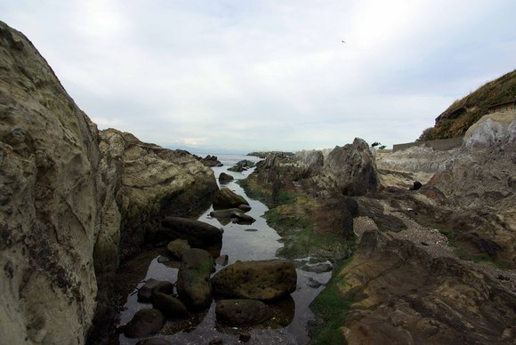 城ヶ島　（３）絶景のリアス式海岸_a0196876_21242924.jpg