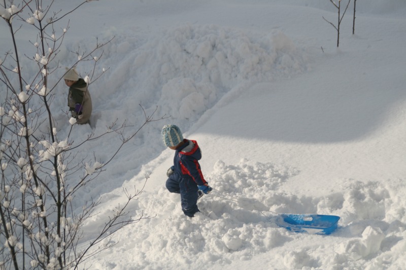 毎日雪が_c0112479_10103464.jpg