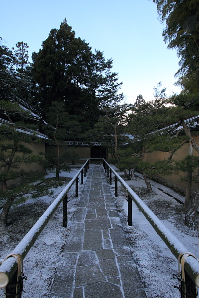 雪の高桐院(大徳寺塔頭)_e0051888_21221428.jpg