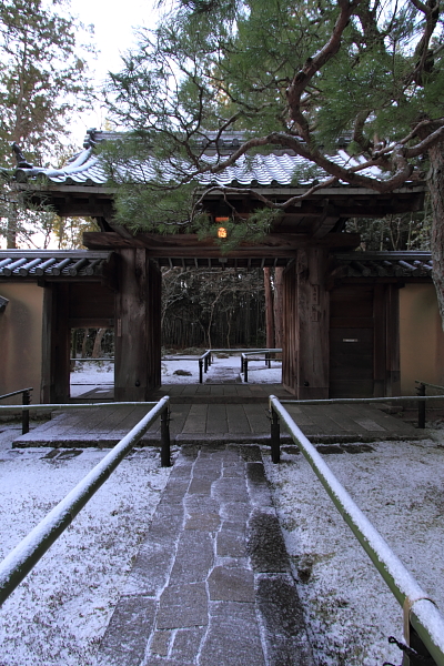 雪の高桐院(大徳寺塔頭)_e0051888_2123414.jpg