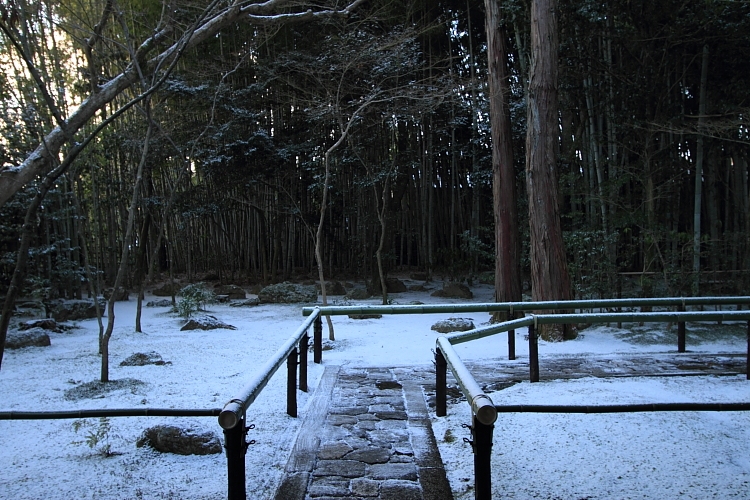 雪の高桐院(大徳寺塔頭)_e0051888_2124797.jpg