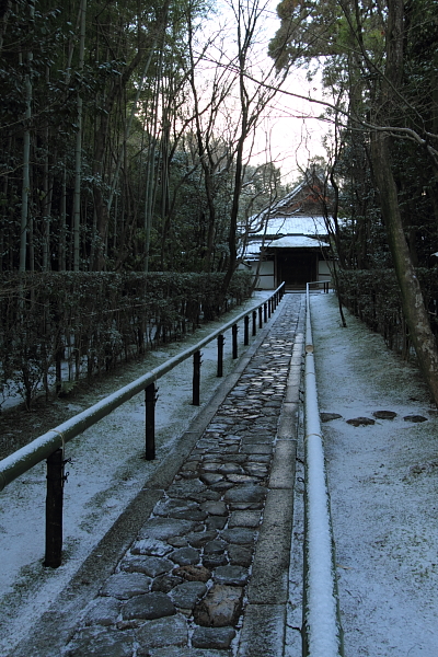 雪の高桐院(大徳寺塔頭)_e0051888_21252246.jpg