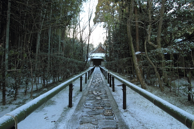 雪の高桐院(大徳寺塔頭)_e0051888_21254245.jpg