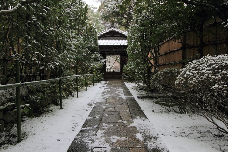 雪の高桐院(大徳寺塔頭)_e0051888_2126208.jpg