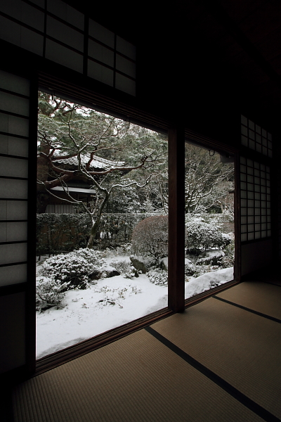 雪の高桐院(大徳寺塔頭)_e0051888_21271710.jpg
