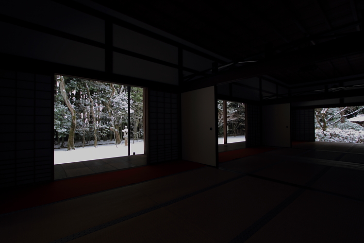 雪の高桐院(大徳寺塔頭)_e0051888_2128256.jpg