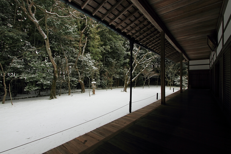 雪の高桐院(大徳寺塔頭)_e0051888_2129937.jpg