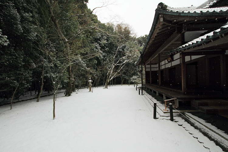 雪の高桐院(大徳寺塔頭)_e0051888_21302592.jpg