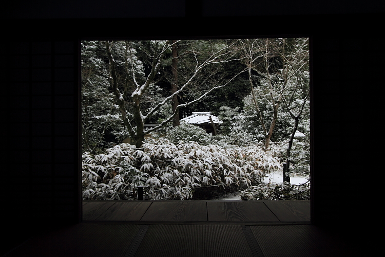 雪の高桐院(大徳寺塔頭)_e0051888_2131537.jpg
