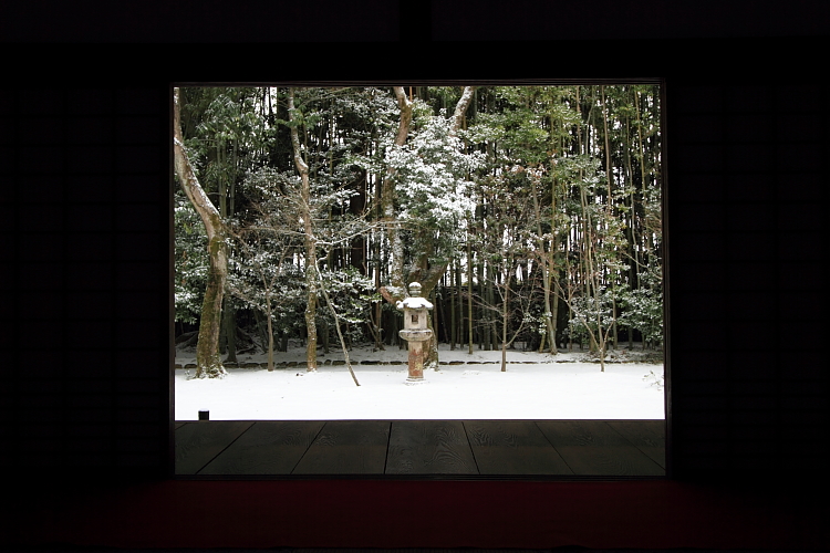 雪の高桐院(大徳寺塔頭)_e0051888_2132245.jpg