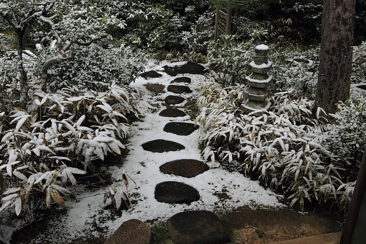 雪の高桐院(大徳寺塔頭)_e0051888_21333415.jpg
